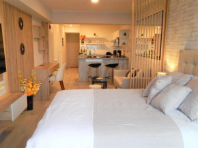 Loft de estreno, San Borja, muy centrico